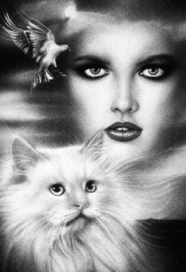 2 - девушка, закат - оригинал