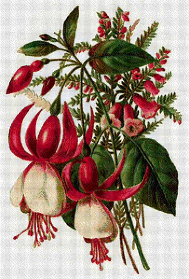 Букетик на счастье. - предпросмотр