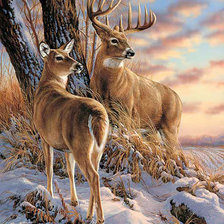 Схема вышивки «Лесные обитатели 2»