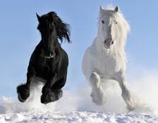 Схема вышивки «Лошади»