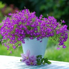 Схема вышивки «серия "букеты"»