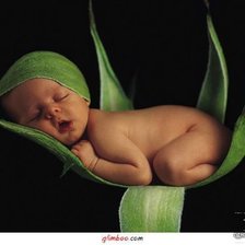 Схема вышивки «№622296»