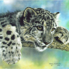 Схема вышивки «Леопард»