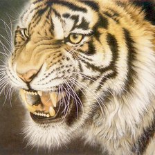 Схема вышивки «Тигр»