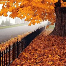 Схема вышивки «осень»