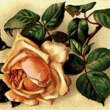 Схема вышивки «№622612»