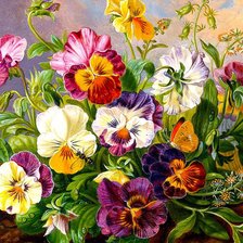 Схема вышивки «Анютки»