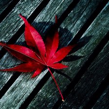 Схема вышивки «№622923»