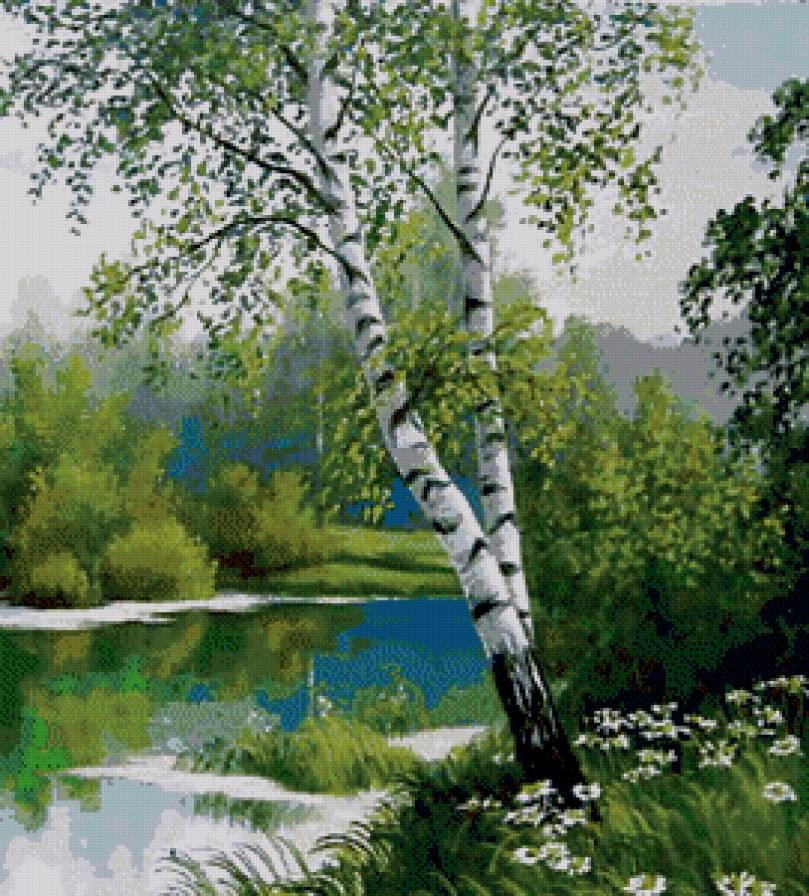 березки 2 - река, пейзаж, березки, природа - предпросмотр