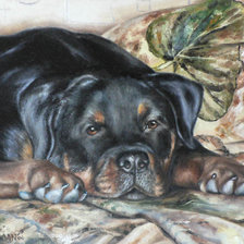 Схема вышивки «Грустный пёс.»