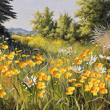 Схема вышивки «Полевые цветы»