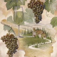 виноградная лоза