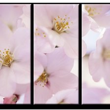 Схема вышивки «летние цветы»