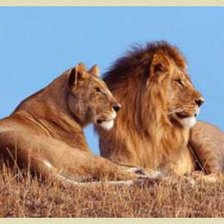 Схема вышивки «44»