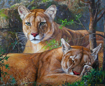 сладкий  сон - мир животных - оригинал