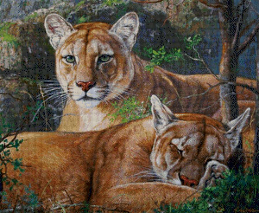 сладкий  сон - мир животных - предпросмотр