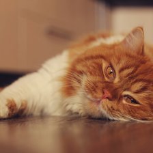 Схема вышивки «№623373»