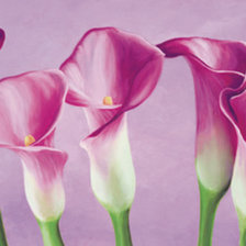 Схема вышивки «№623394»