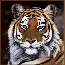 Схема вышивки «№623396»