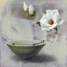 Схема вышивки «магнолия»