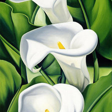 Схема вышивки «Каллы»