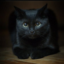 Схема вышивки «6»