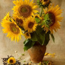 Схема вышивки «подсолнухи»