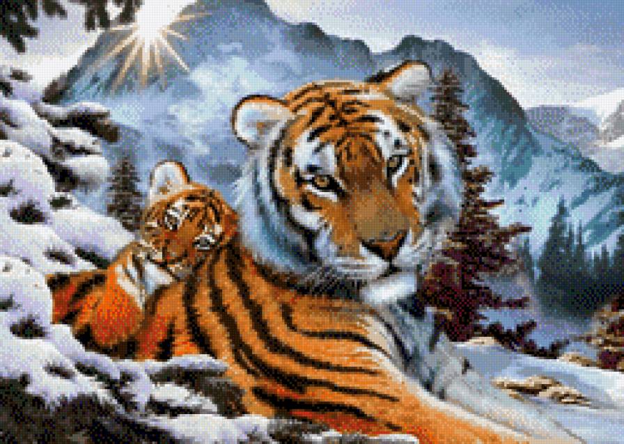 тигрица в горах - тигр, тигренок, зима - предпросмотр