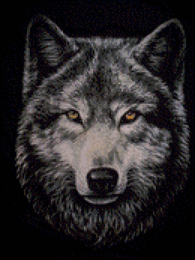 волк2 - предпросмотр