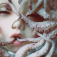 Схема вышивки «осьминог»