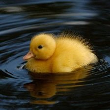 Схема вышивки «утенок»