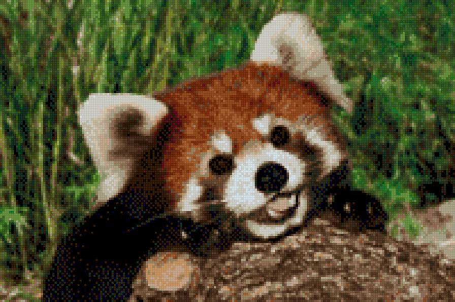 милашка - предпросмотр