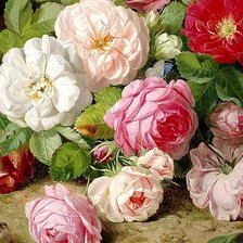 Схема вышивки «Чайные розы»