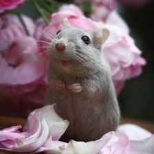 Схема вышивки «№624351»