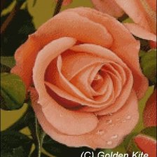 Схема вышивки «№624389»