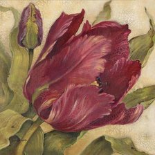 Схема вышивки «№624566»