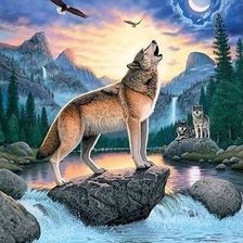 Схема вышивки «зов волка»