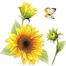 Схема вышивки «№624816»