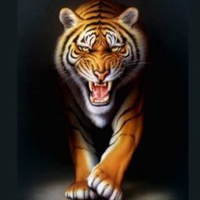 Схема вышивки «Тигр»