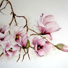 Схема вышивки «ветка магнолии»