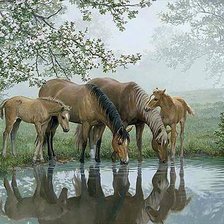 Схема вышивки «Туманным утром»