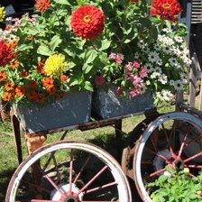 Схема вышивки «красота»