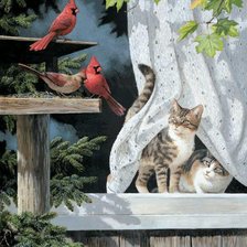 Схема вышивки «знакомство»