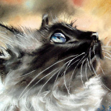 Схема вышивки «Кошка»