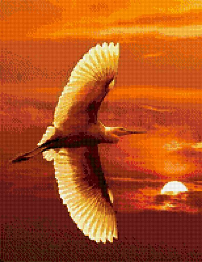 Полет - животные, птицы - предпросмотр