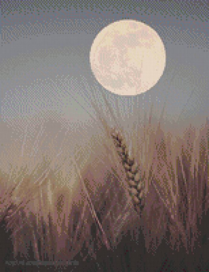 №625316 - природа, колосья, ночь, луна - предпросмотр