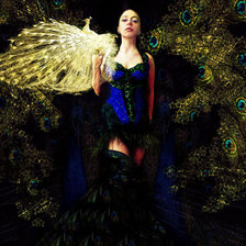 Схема вышивки «павлин»