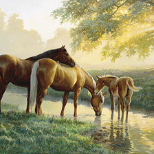 Схема вышивки «№625455»