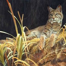 Схема вышивки «№625458»