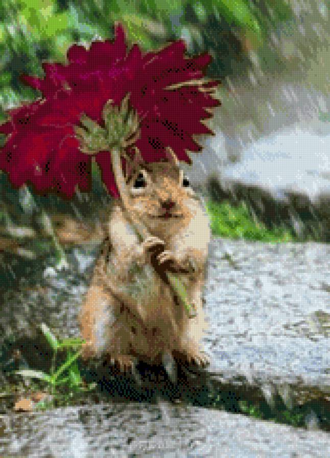 ПОД ЗОНТОМ - предпросмотр